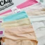 QUẦN LÓT NỮ BIGSIZE 50 -65KG COTTON THÁI LAN MỊN - 8602 Bơ Chip Women