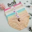 QUẦN LÓT NỮ BIGSIZE 50 -65KG COTTON THÁI LAN MỊN - 8602 Bơ Chip Women
