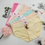 QUẦN LÓT NỮ BIGSIZE 50 -65KG COTTON THÁI LAN MỊN - 8602 Bơ Chip Women