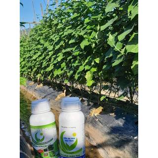 CANXI BO HLC 500ML CHỐNG RỤNG HOA, CHỐNG RỤNG QUẢ NON, DƯỠNG QUẢ NON, THÚC QUẢ LỚN, CHỐNG NỨT QUẢ CHO CÂY TRỒNG