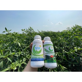 CANXI BO HLC 500ML CHỐNG RỤNG HOA, CHỐNG RỤNG QUẢ NON, DƯỠNG QUẢ NON, THÚC QUẢ LỚN, CHỐNG NỨT QUẢ CHO CÂY TRỒNG