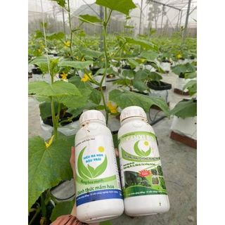 Combo 2 chai 500ml cho cây ra hoa nhiều đậu trái,chống rụng cho rau ăn trái cà chua, ớt, đậu leo, bầu bí