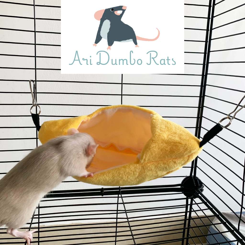 Võng treo trái chuối Phụ kiện cho Rat Dumbo Rat Hamster Chuột Sóc ...