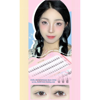 [Y251] Bộ Lông Mi Giả VEECCI - Set hộp lông mi tự nhiên - Mi cụm, Mi tách sợi