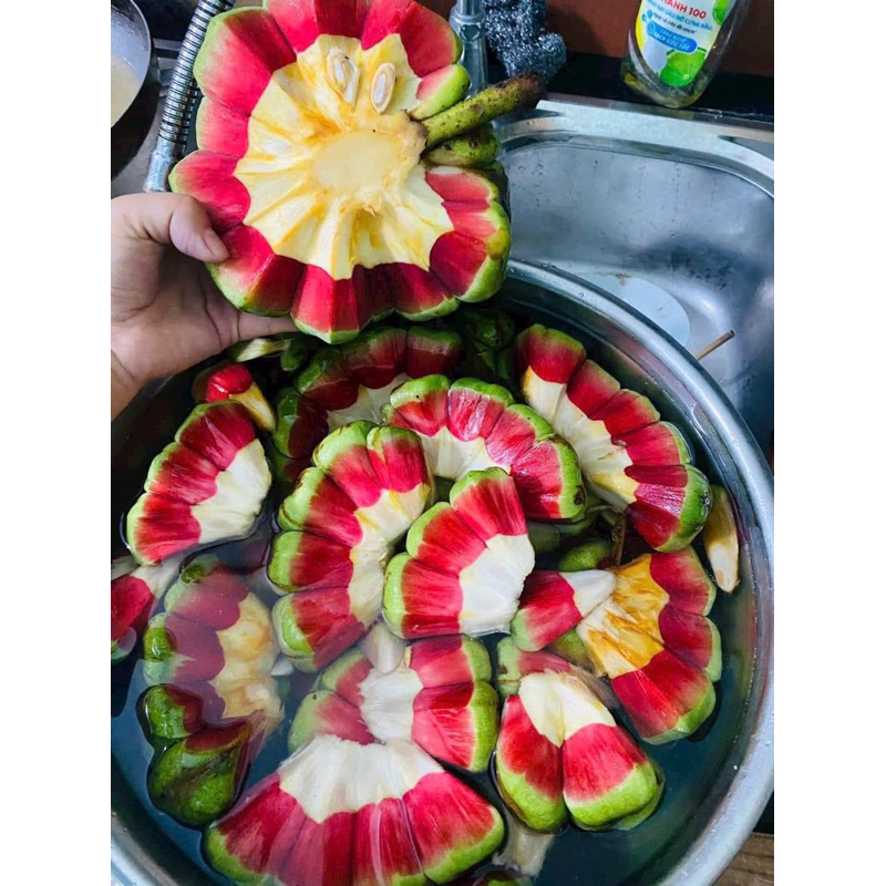 Na rừng Tây Bắc tươi xanh vỏ đỏ lòng 1kg(Na rừng sấy khô thơm,sạch,không vụn)Tặng kèm đường phèn