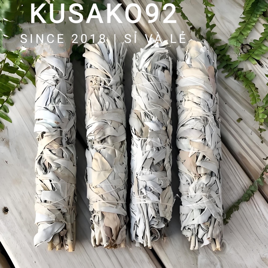 (Sỉ và Lẻ) Bó Xô Thơm Trắng/ White Sage/ Lá Sage Thanh Tẩy Không Gian ...