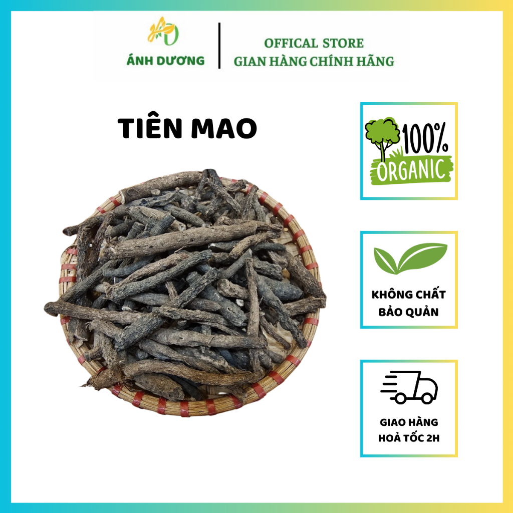 Tiên Mao ( Sâm Cau Đen ) Hàng Khô, Sạch, Đẹp Loại 1