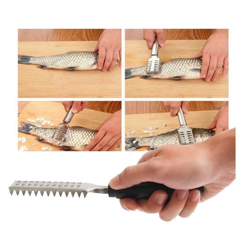 Dụng cụ đánh vảy cá inox tay cầm nhựa