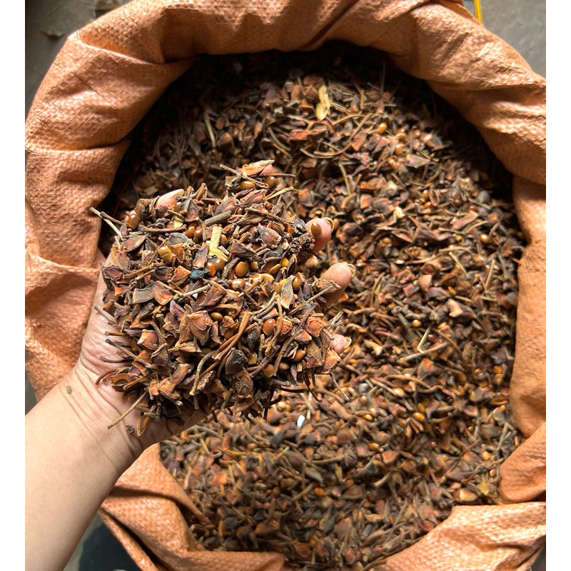 Hoa hồi vụn Bảo Châu chất lượng loại 1 dùng làm gia vị nấu phở, xông phòng 1kg