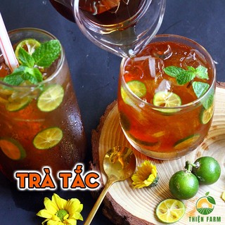 Cây Tắc Bánh Xe THIỆN FARM quả to, vị chua thơm mát, làm nước chấm, giải khát, trồng chậu