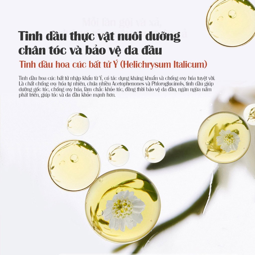 Ảnh [MUA 2 TẶNG 2] Dầu Gội Xả 2IN1 LILYSTAR Phục Hồi Tóc Chuyên Sâu Chứa Tinh Dầu Nuôi Dưỡng Ẩm Giúp Tóc Mềm Mượt Chai 200ml 3