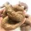 Mô hình cục shit troll bạn bè vui nhộn