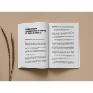 Sách Mẹ Và Con Gái - Chữa Lành Tổn Thương Giữa Các Thế Hệ - Bizbooks