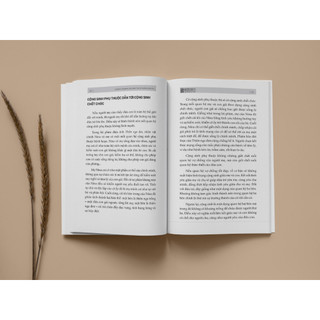 Sách Mẹ Và Con Gái - Chữa Lành Tổn Thương Giữa Các Thế Hệ - Bizbooks