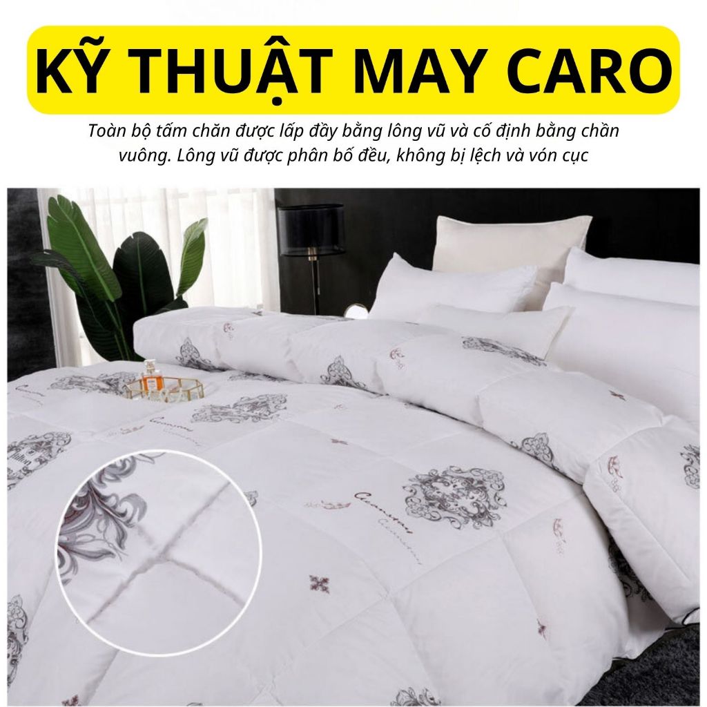 Ruột chăn lông vũ hilton siêu nhẹ cao cấp chính hãng TOPAZ nhập khẩu mang cho bạn giấc ngủ ấm áp trong thời tiết đại hàn