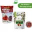 Táo đỏ Hotan hữu cơ - Táo đỏ Tân Cương - Organic Dried Hotan Jujube