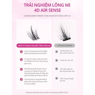 [Y257] Lông Mi Giả MLEN DIARY - ANIME HOẠT HÌNH - Mi Cụm Mềm Mại Tự Nhiên Dễ Sử Dụng