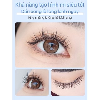 [Y258] Lông Mi Giả MLEN DIARY - HOA HƯỚNG DƯƠNG BẢN TRUNG - Mi Cụm Tự Nhiên Mềm Mại Tái Sử Dụng
