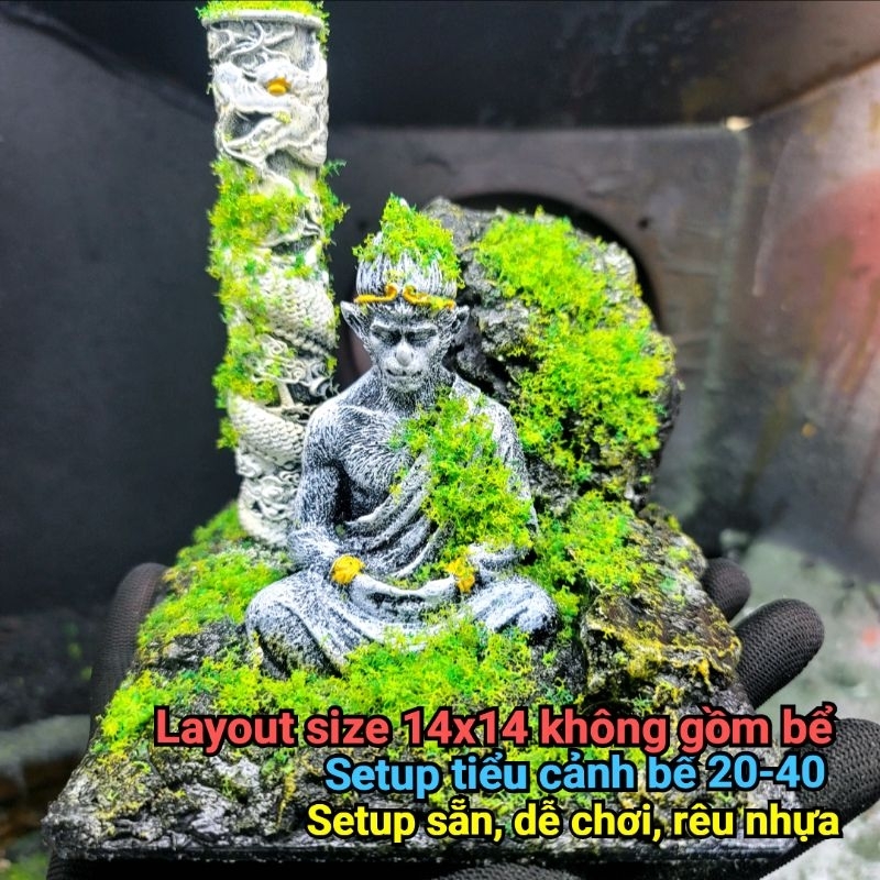 [Layout setup sẵn] bể cá để bàn, bể cá thủy sinh setup sẵn các kích ...