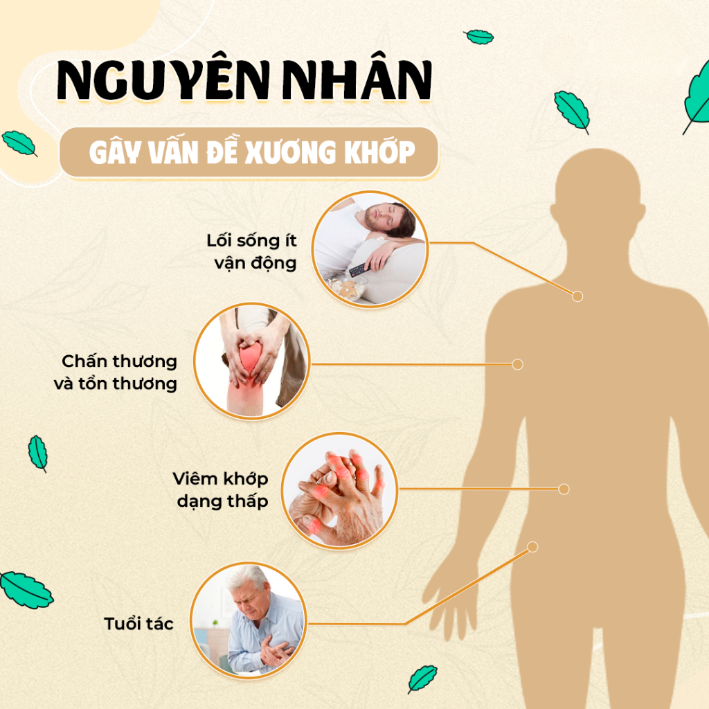 Trà Xương Khớp Bội Lan Đường - Hỗ Trợ Giảm Đau Dành Cho Người Viêm Khớp, Thoái Hóa, Cứng, Sưng Khớp