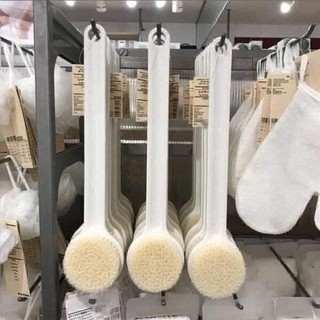 Cây Bàn Chải Cọ Lưng, Chà Lưng Siêm Mềm