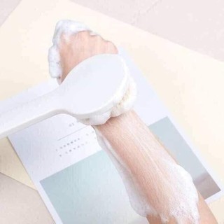 Cây Bàn Chải Cọ Lưng, Chà Lưng Siêm Mềm