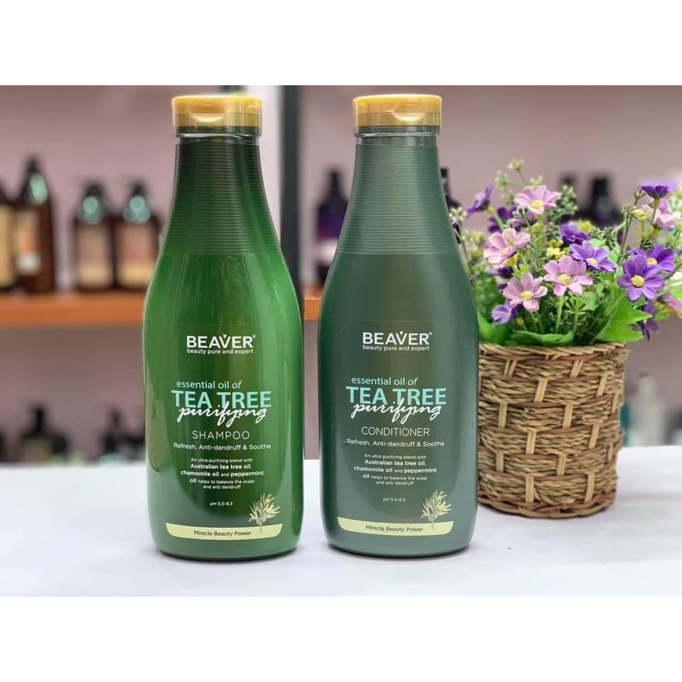 DẦU GỘI XẢ BEAVER TRÀ XANH TEA TREE CHỐNG RỤNG, GIẢM GẦU 730ml | Shopee  Việt Nam