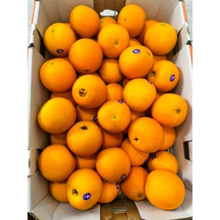 ( JENNYFRUIT) ( HỎA TỐC) CAM ÚC  ruột vàng 1kg/3 trái