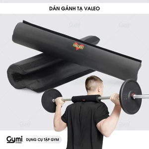 Dán Gánh Tạ Valeo Chính Hãng - Đệm Bảo Vệ Vai Gánh Tạ Squat Tập Gym, Thể Thao - DanGanhTaValeo