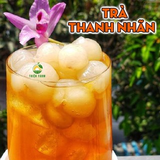 Cây Thanh Nhãn THIỆN FARM 60cm, quả to, cơm dày hạt nhỏ, thịt giòn ngọt thanh, trồng chậu, thùng xốp