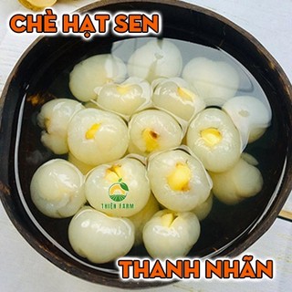 Cây Thanh Nhãn THIỆN FARM 60cm, quả to, cơm dày hạt nhỏ, thịt giòn ngọt thanh, trồng chậu, thùng xốp