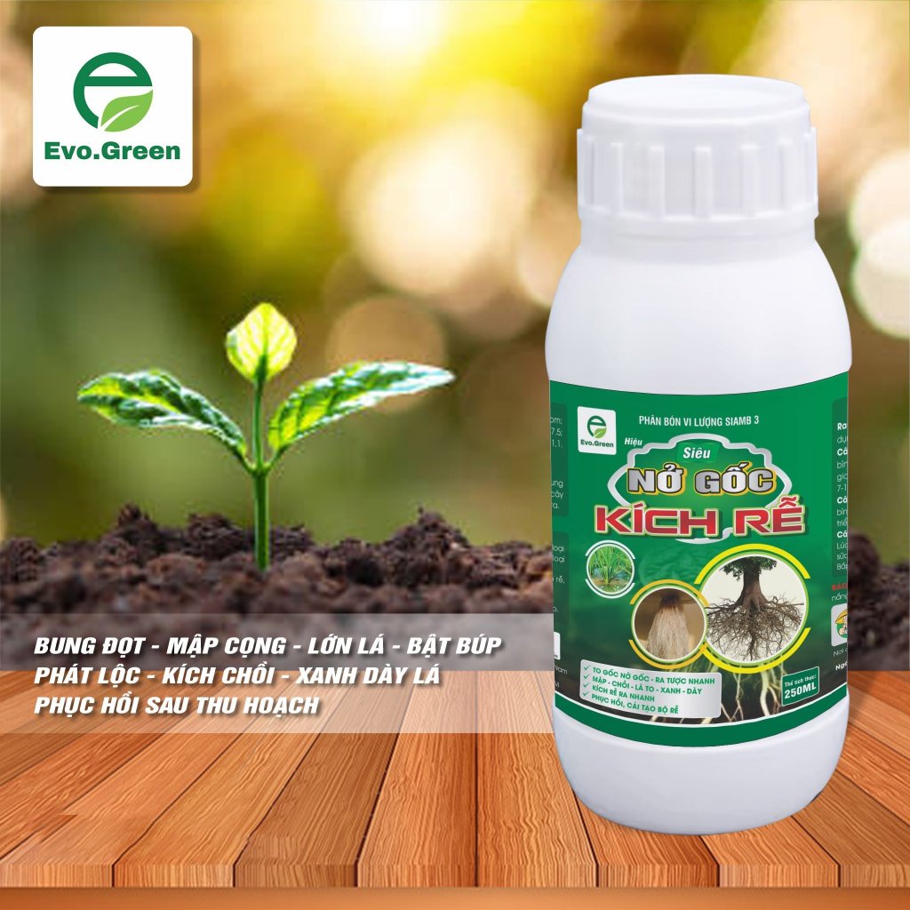 Thuốc Kích Rễ Siêu Nở Gốc 250ml, Kích rễ cực mạnh, ra nhiều rễ tơ mới ...