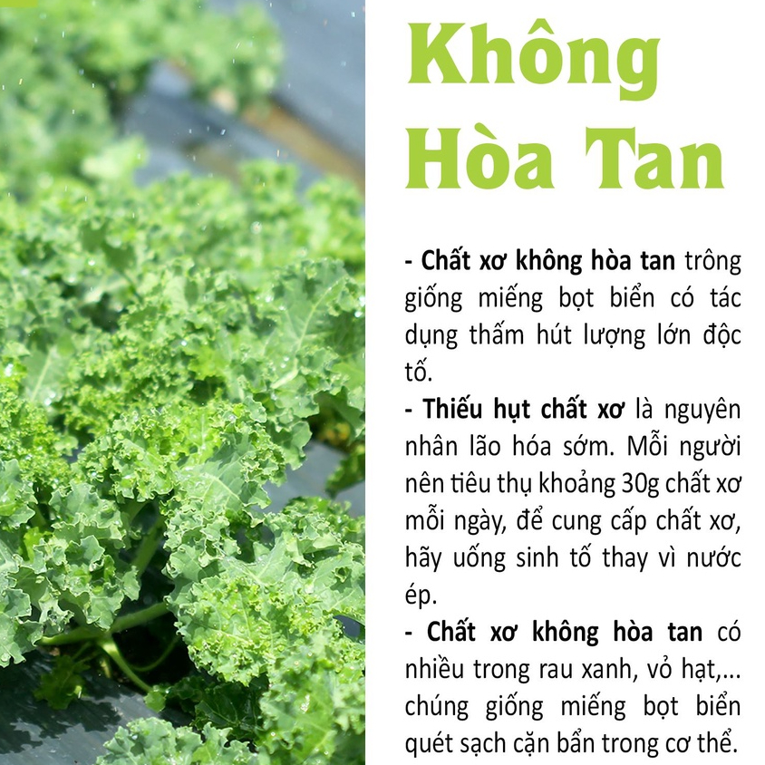 Ảnh Bột cải xoăn kale sấy lạnh nguyên chất Dalahouse 60gr đạt tiêu chuẩn Châu Âu 1