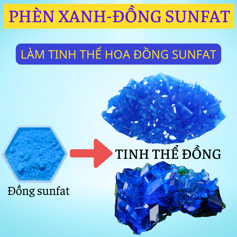 Đồng Sunphat (CuSO4)⚡Đồng Sulfat dùng Cắt Rong Rêu Tảo, Nấm trên Cá ...