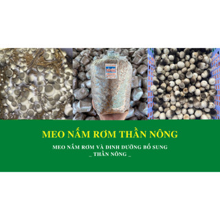 Combo 6 Meo Nấm Rơm + 1 Dinh Dưỡng + 1 Xịt Dưỡng - Tặng Kỹ Thuật Trồng Nấm Rơm Trong Nhà