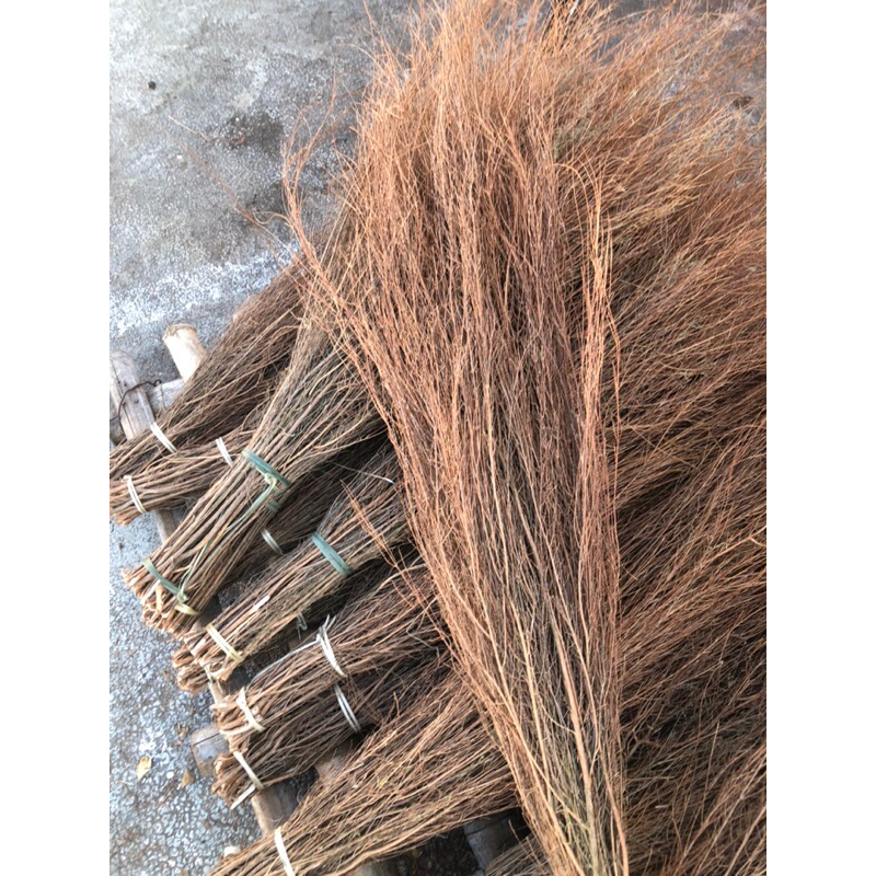 Cây thanh hao khô - làm rễ quét sân nhà, làm decor trang trí … | Shopee ...