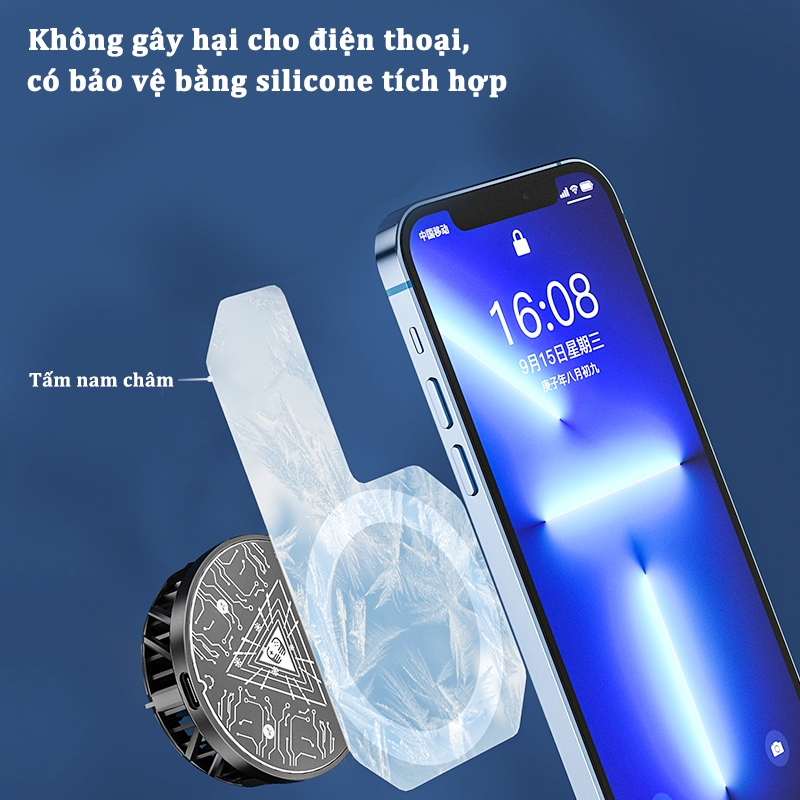 Ảnh 5