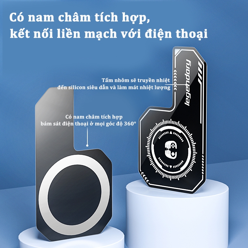 Ảnh 6