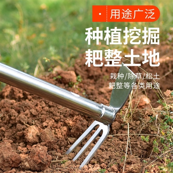Cuốc Cào 2 Đầu Inox (Cái) | Shopee Việt Nam