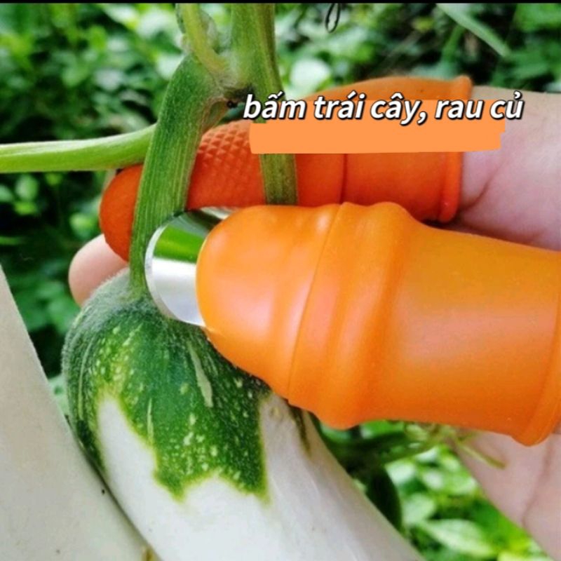 Bộ dụng cụ bấm cành, bấm lá, thu hoạch😍 Cực Kỳ Tiện Lợi