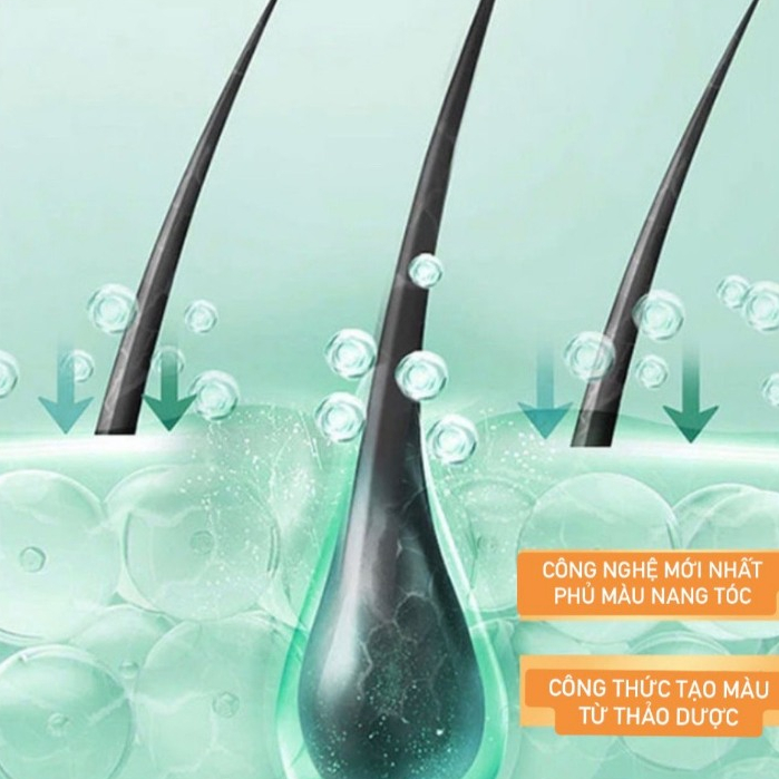 Dầu Gội Nhuộm Tóc Thảo Dược Hellooii Bubble Màu Cà Phê, Màu Hạt Dẻ Và Màu Nâu Phủ Mùa Tóc, Nuôi Dưỡng Tóc Khỏe DGNT01