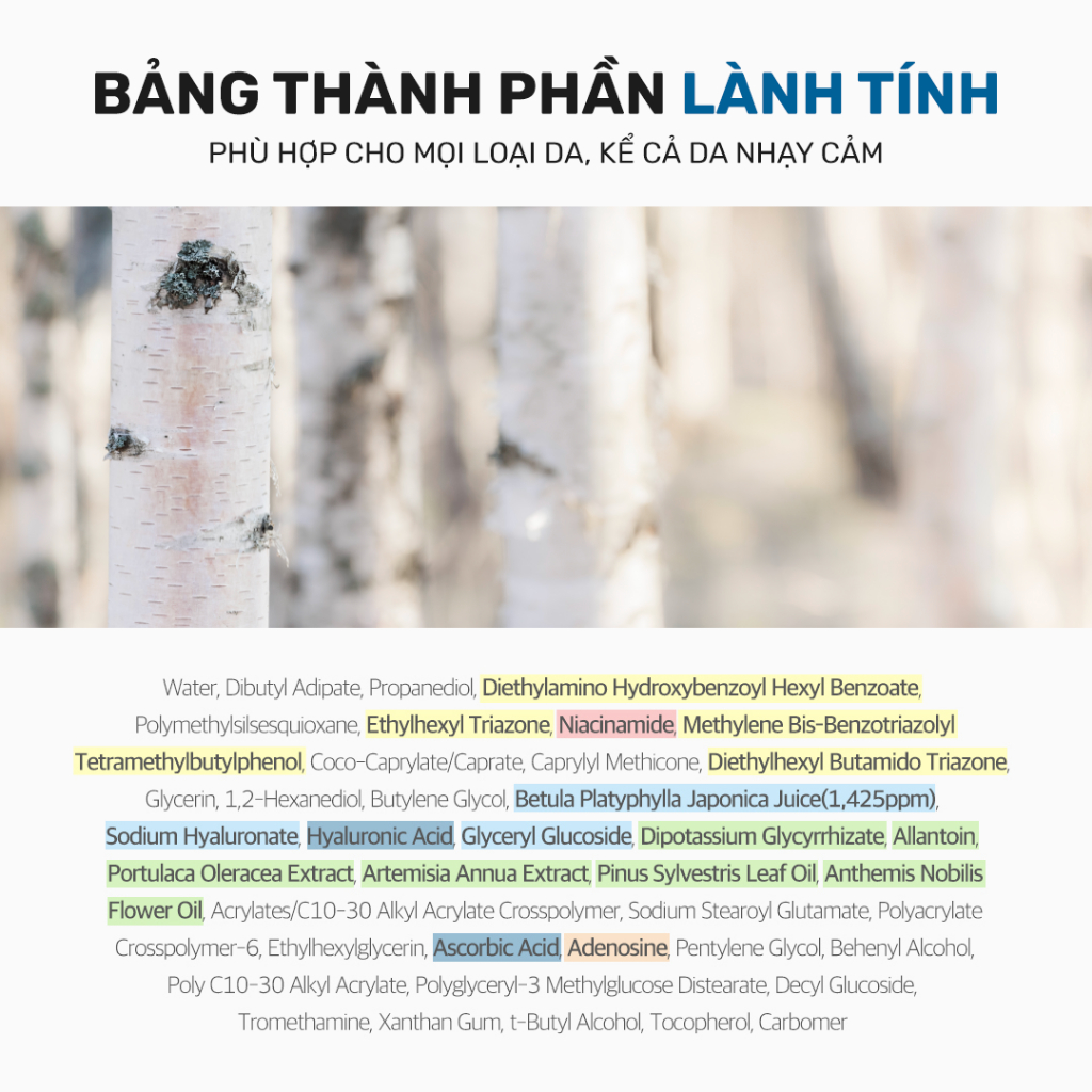 Ảnh Kem chống nắng Round Lab Birch Juice 10ml 3