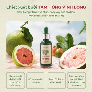 Serum Phục Hồi Tóc Bưởi Hồng ABERA 50ml - Dưỡng Tóc Chắc Khỏe, Mềm Mượt, Giảm Khô Xơ, Chẻ Ngọn Tóc