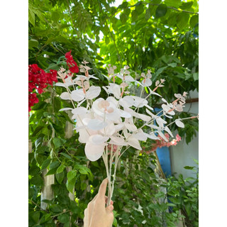 Cụm lá táo 16 nhánh hàng loại 1 đủ màu - Hoa giả