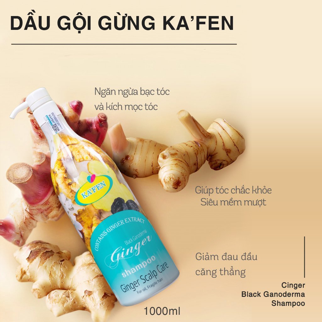 Thiết kế của Dầu Gội Kafen Gừng Tươi Cao Cấp