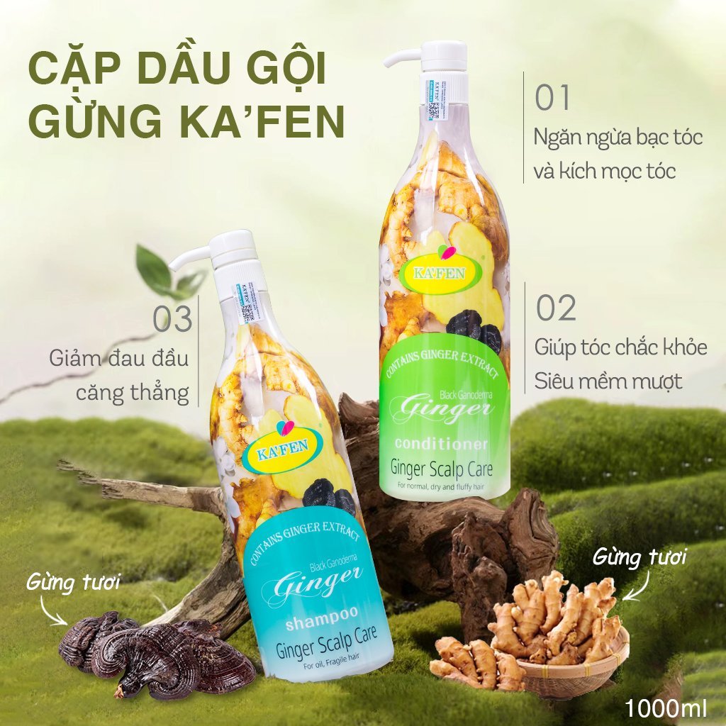 Sử dụng Chai Dầu Gội Kafen Gừng Tươi trong đời sống
