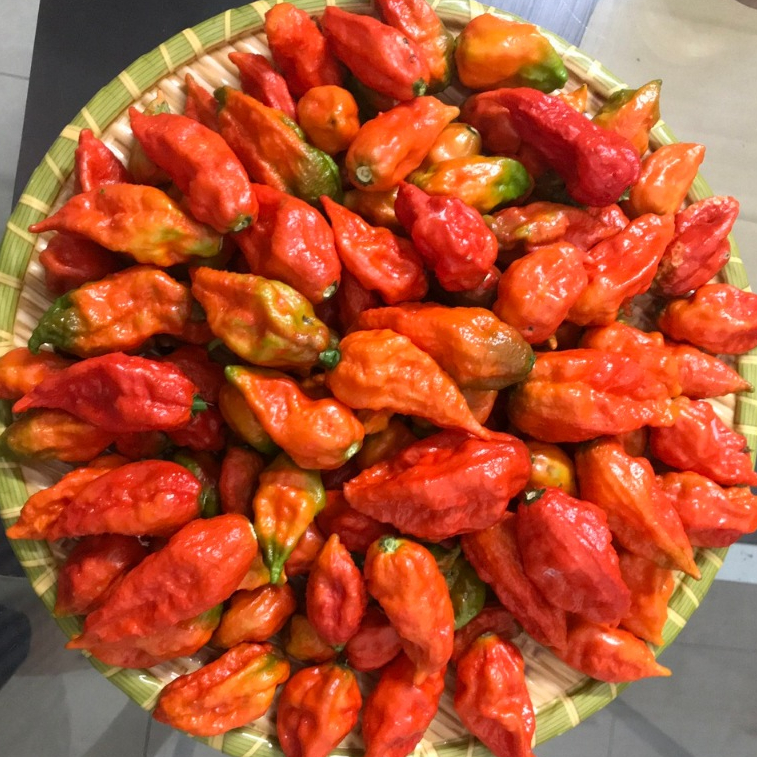 Ớt Trung Đoàn Mường Tè Lai Châu siêu cay 200g/500g/1000g