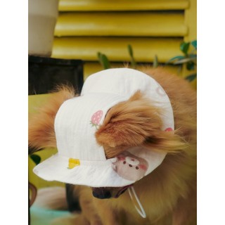 NÓN THÚ CƯNG TRÒN VÀNH HOẠ TIẾT DỄ THƯƠNG