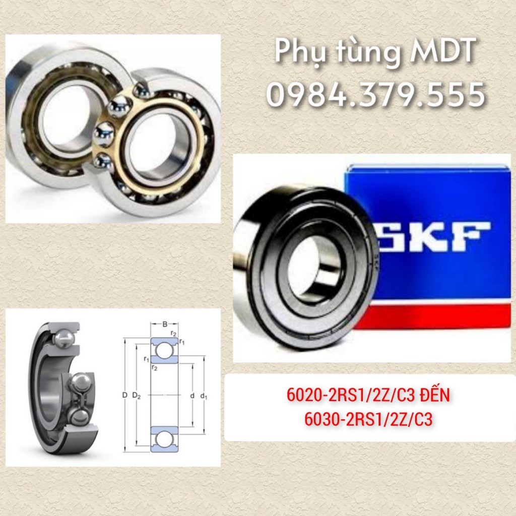 Vòng bi bạc đạn cầu SKF6020,6021,6022,6024,6026,6028,6030 2RS1/2Z/C3 ...