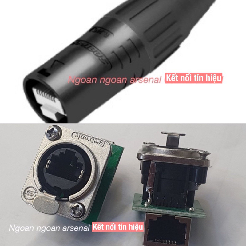 jack mạng RJ45 audio dùng ngoài trời, rắc RJ45 bệ máy nhập khẩu ...